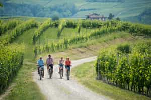 Explore the enchanting Langhe hills on an e-bike