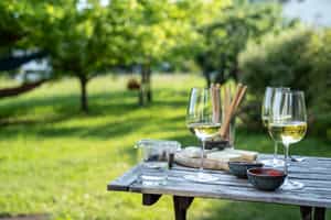Go cheese tasting at a picnic in the Langhe Hills