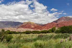 Horseback ride through the Salta landscape