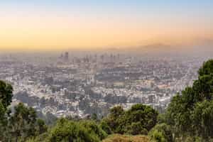 Enjoy the view from Mount Entoto