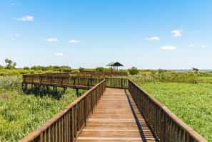 Walk the trails of Esteros del Iberá