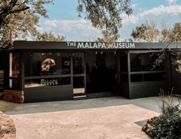 Visit The Malapa Museum