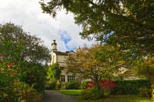 Wander where Wordsworth found his words