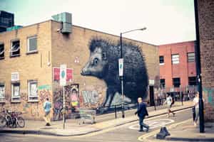 Hunt for street art in Shoreditch