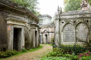 Wander the Gothic graves of Highgate Cemetery
