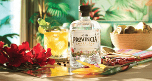 Visit Gin Provincia distillery