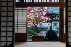 Sit with the monks of Sennyu-ji