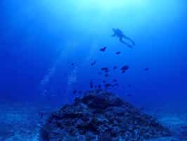 Go scuba diving in Kerama & Kume Islands