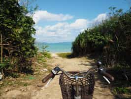 See the sites on a bike tour in Yaeyama Islands
