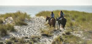 Enjoy a horseback ride through José Ignacio