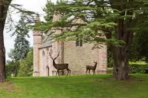 Go behind the scenes at Scone Palace