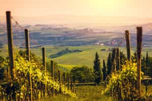 Taste Chianti at an iconic Tuscan wine estate
