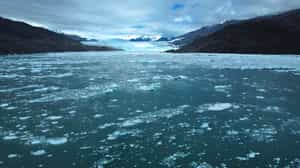 See Montt Glacier's face near Tortel by dinghy