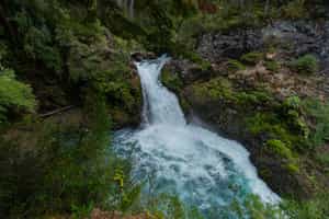 Admire the Alerces Waterfall