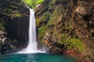 Walk to Oropendola Waterfall in Rincón de la Vieja