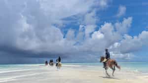 Go horseback riding in Zanzibar