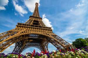 Visit the Eiffel Tower for views over Paris