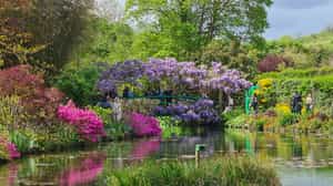 See Monet's gardens in bloom at Giverny