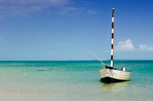 Island-hop Vilanculos in search of pansy shells