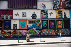 Discover Paris street art with a guide
