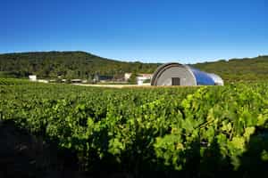 Experience the wine & art of Château La Coste