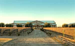 Create your own sparkling wine in Mendoza