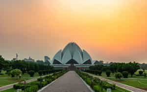 Make your way to the Lotus Temple, Delhi