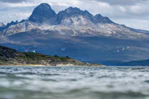 Scan the Beagle Channel for whales off Ushuaia