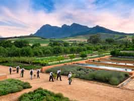 Babylonstoren Farm Hotel