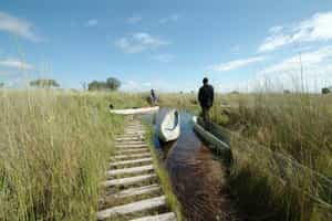 Mboma Island Camp
