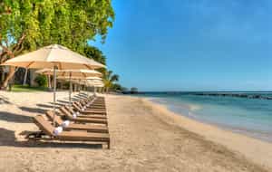 The Westin Turtle Bay Resort & Spa
