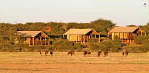 Suricate Kalahari Tented Lodge