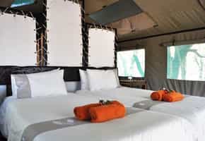 Mopane Camp