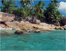 Mango Lodge