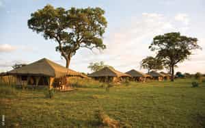 Serengeti Nyumba