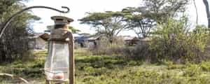 Serengeti Savannah Camp