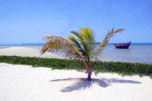 Beachcomber Hotel