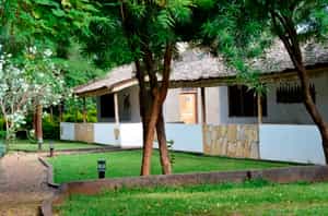 HoneyBadger Lodge