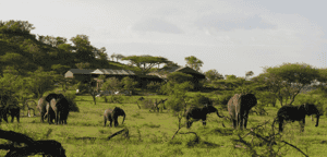 Grumeti Migration Camp