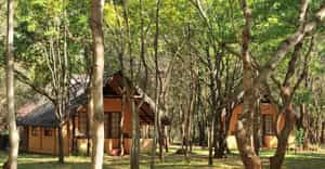 Bushfront Lodge