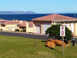 Bradclin - Hermanus