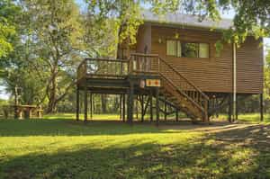 Bonamanzi Tree Houses