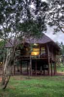 Zululand Tree Lodge
