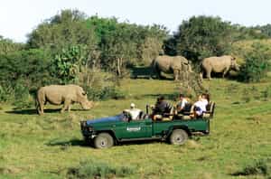 Kariega River Lodge