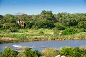 Tinyeleti Treehouse at Lion Sands