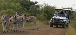 Mkhuze Safari Tented Camp