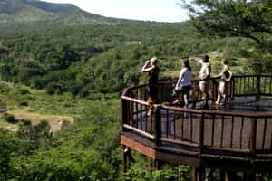 Mkuze Falls Private Game Reserve