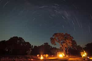 Tuli Wilderness Camp