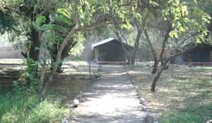 Natron River Camp