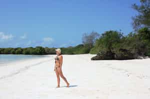 Pemba Lodge